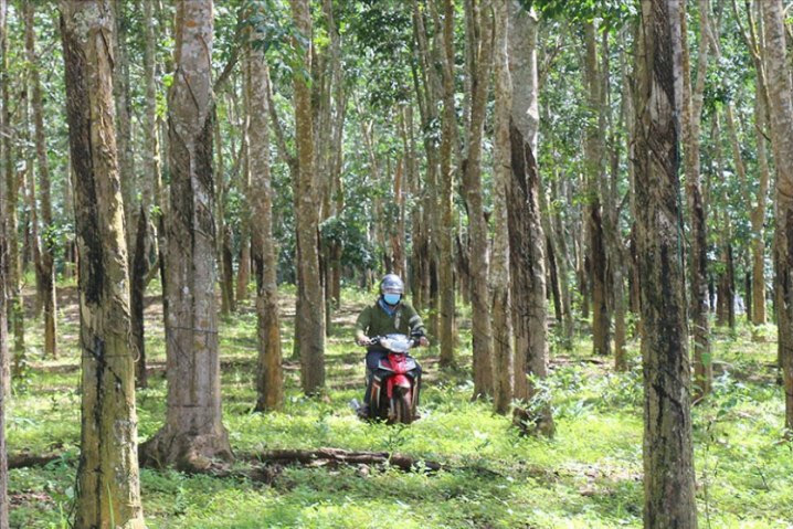 nam-nun(1).jpg