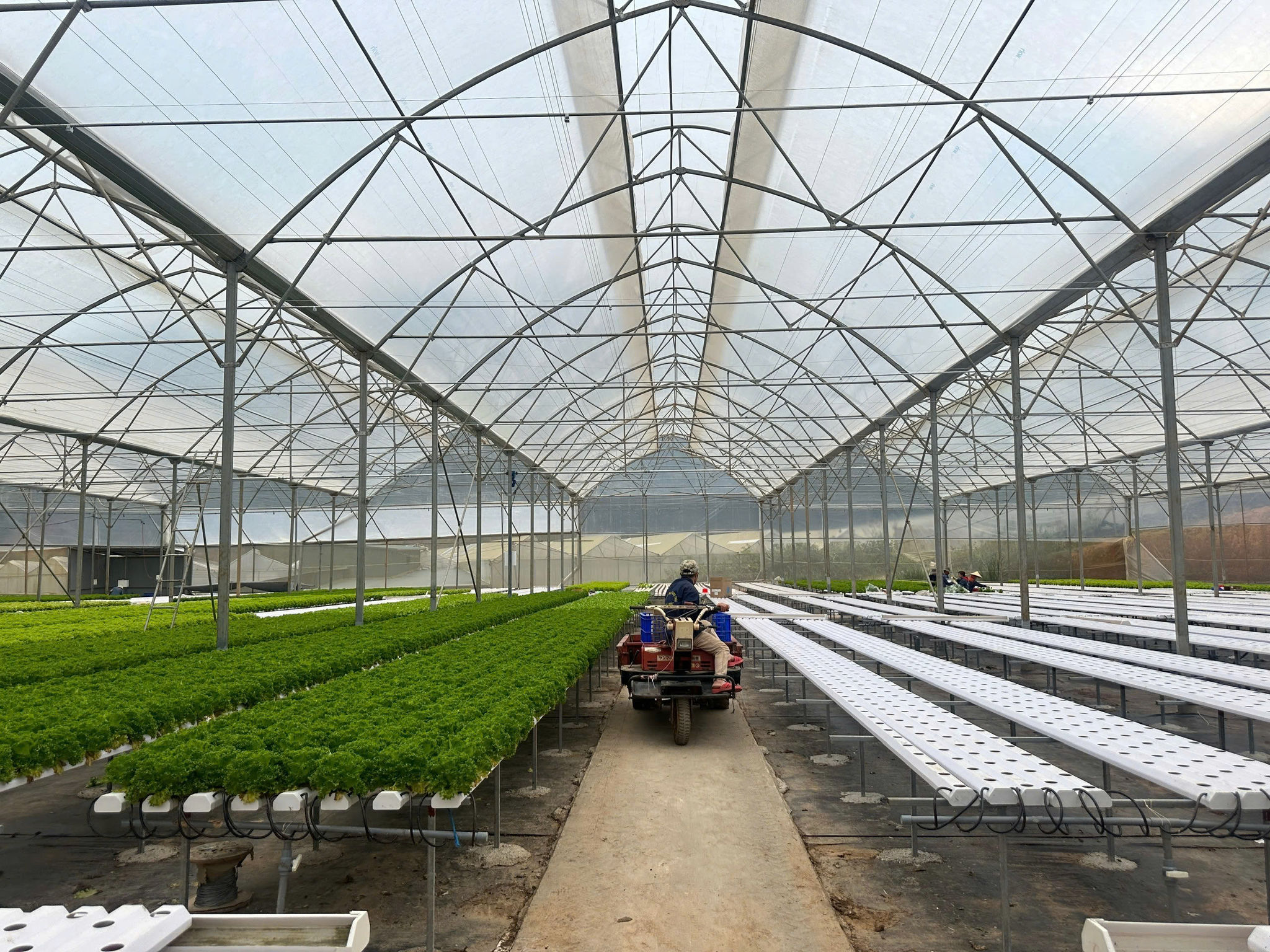 sản xuất nông nghiệp công nghệ cao ở Lâm Đồg