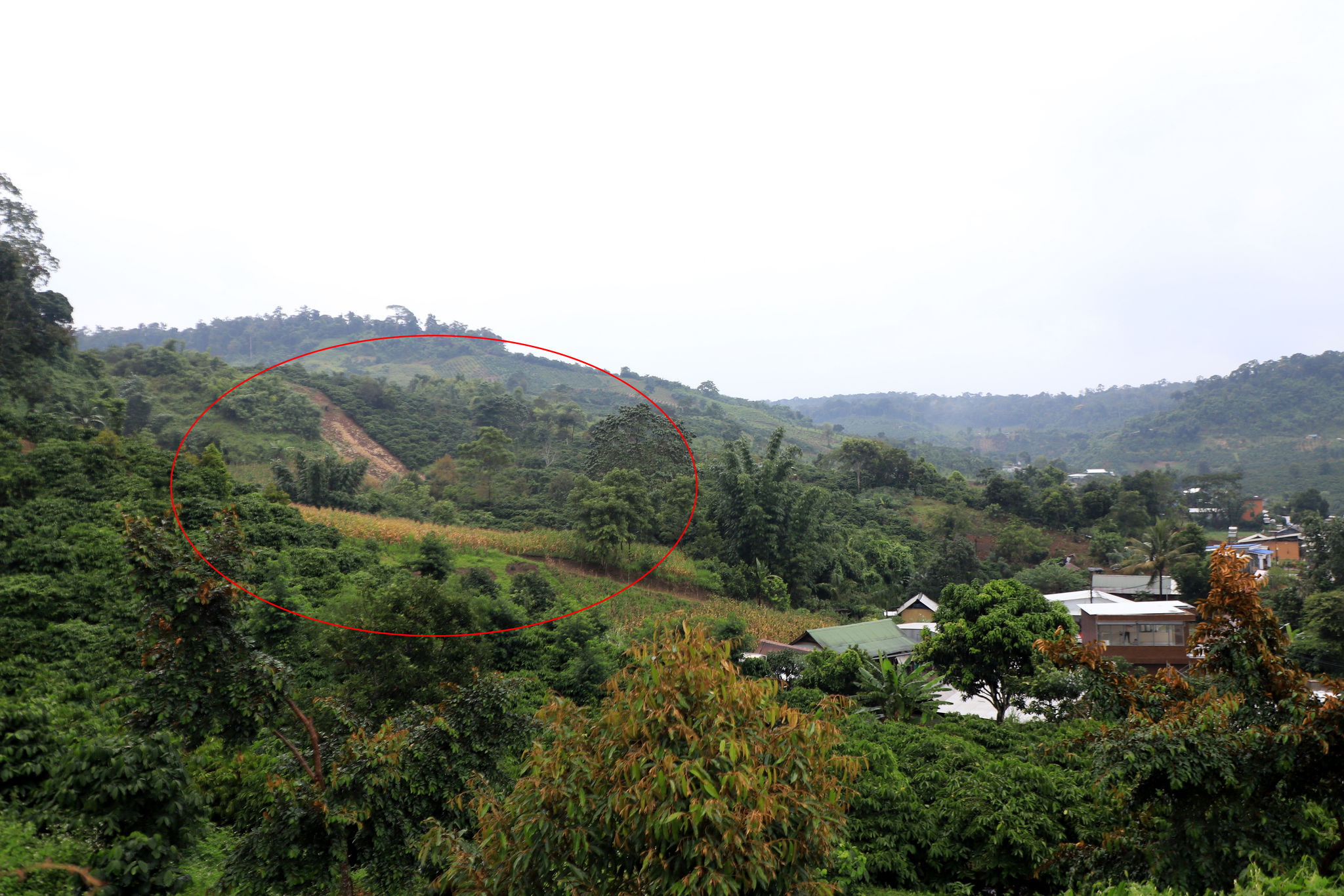 Sat lo Quang Son 2