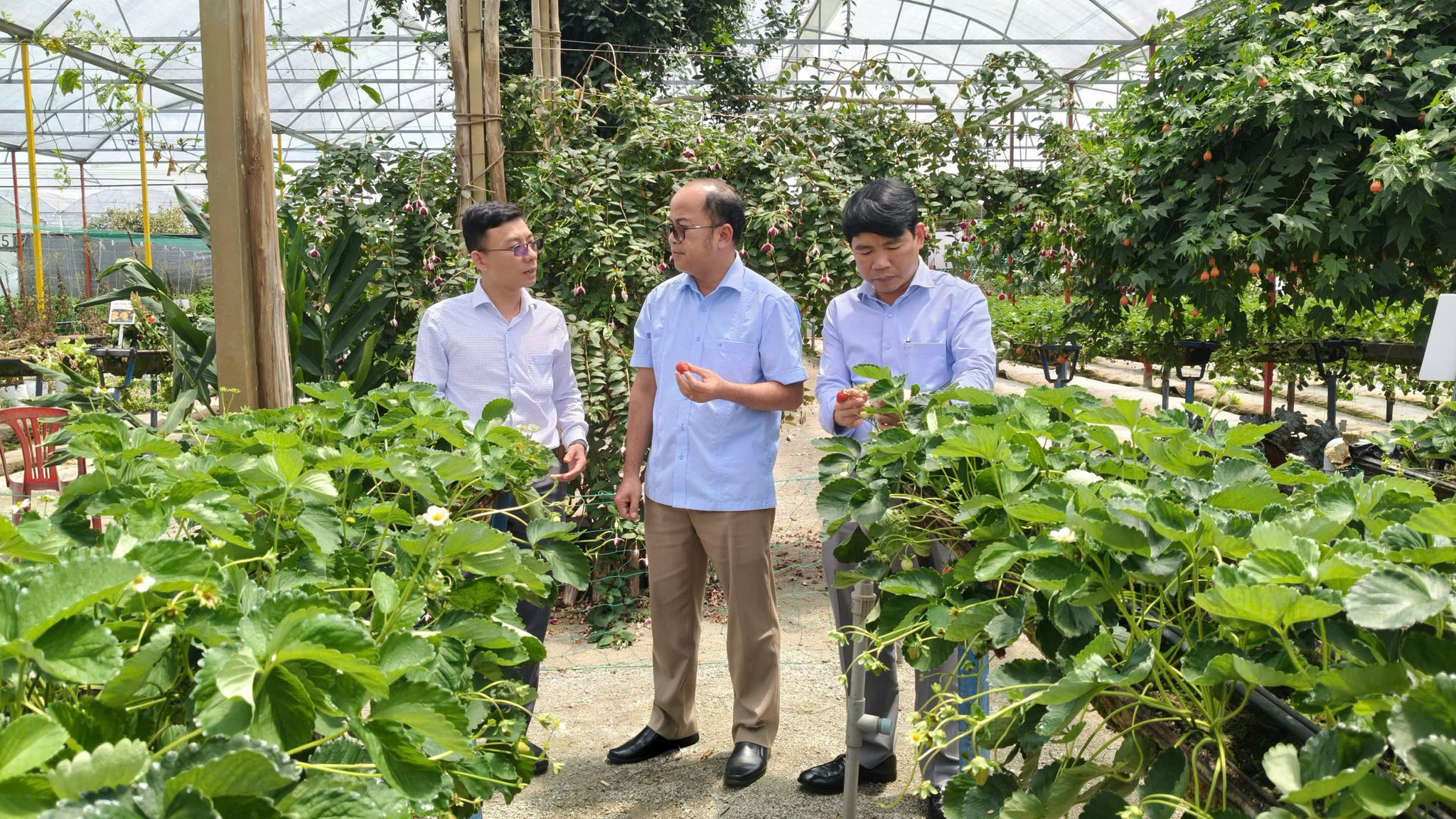 Đồng chí Y Quang tới khảo sát thực địa