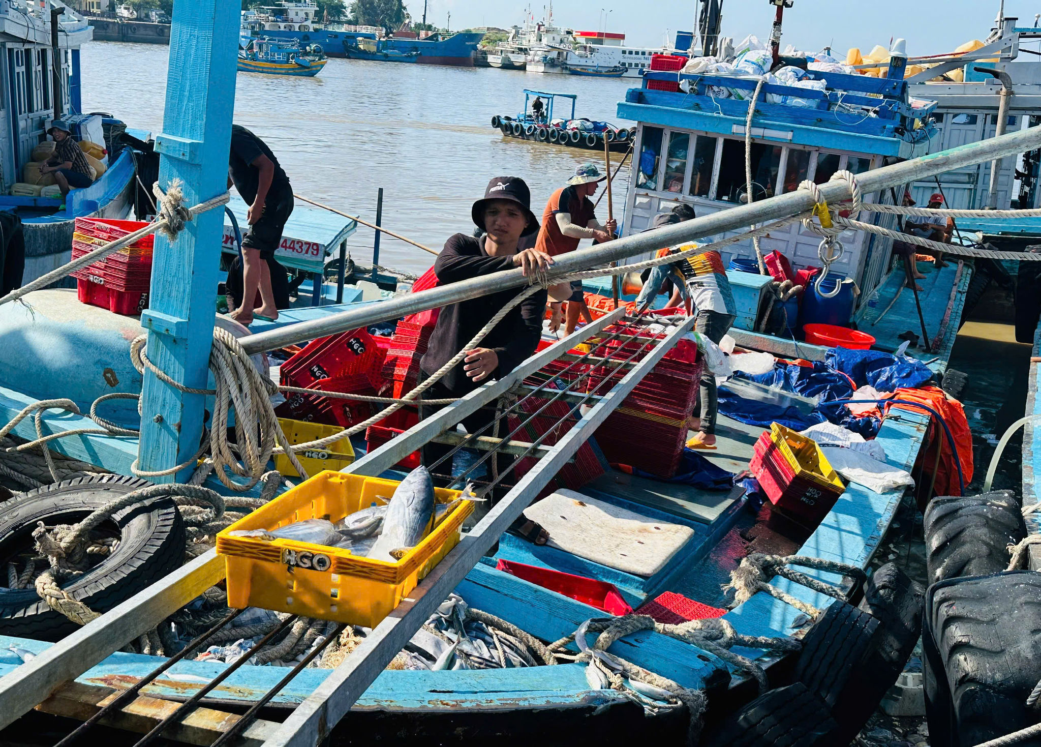 Ngư dân vận chuyển hải sản lên bờ sau khai thác tại Cảng cá Phan Thiết