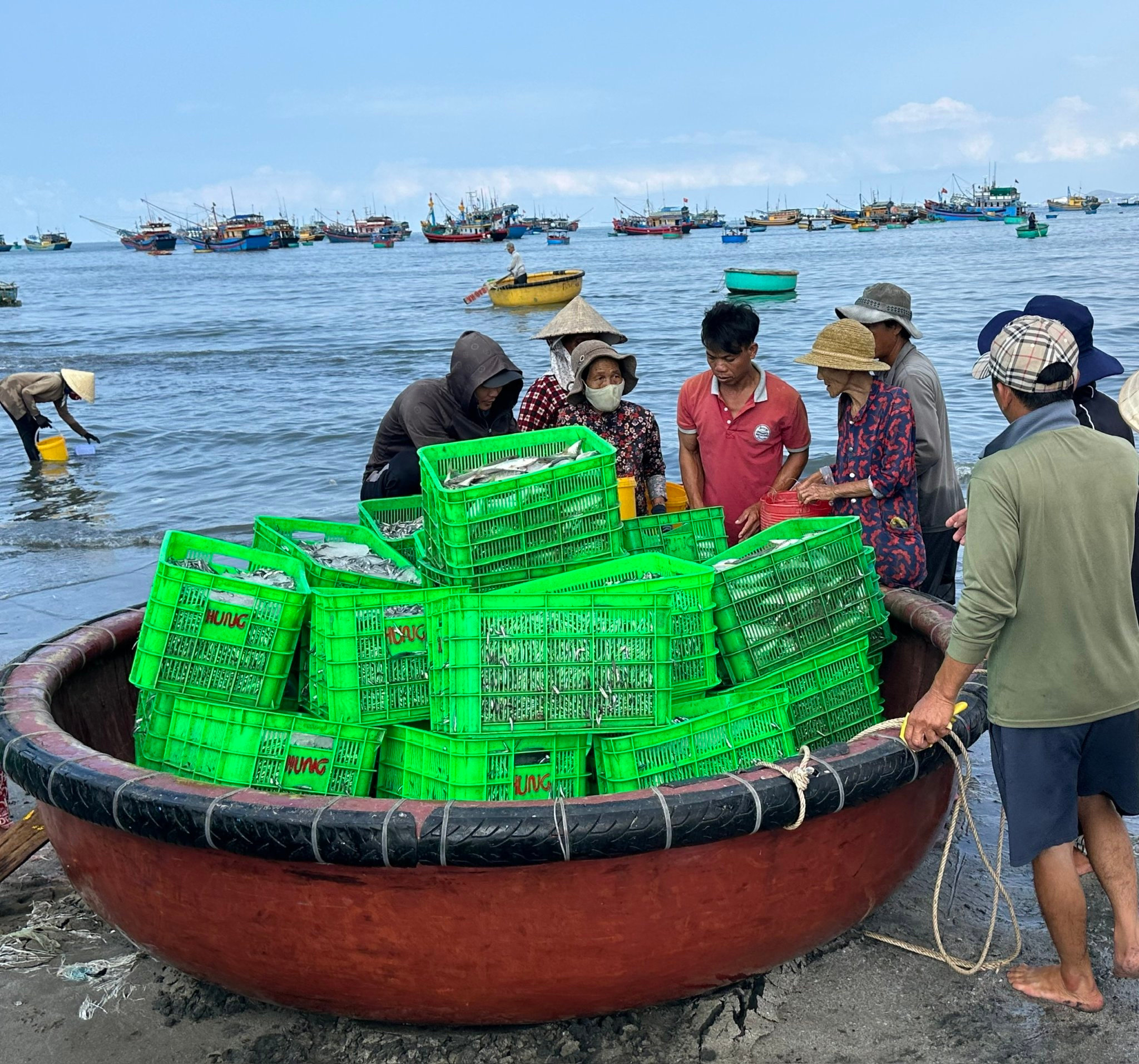 nhộn nhip vùng biển