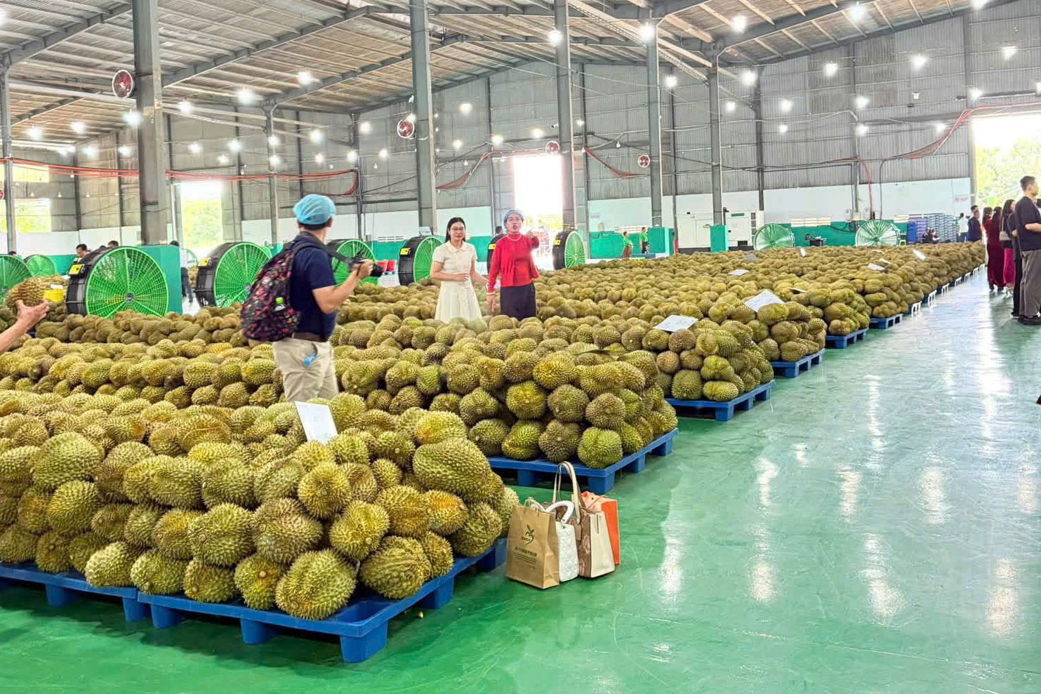 sau-rieng-tai-1-nha-may-che-bien.jpg