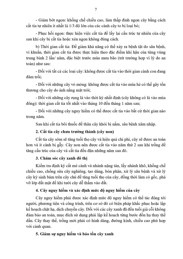 Thông tư hướng dẫn quản lý cây xanh đô thị- Ảnh 7.
