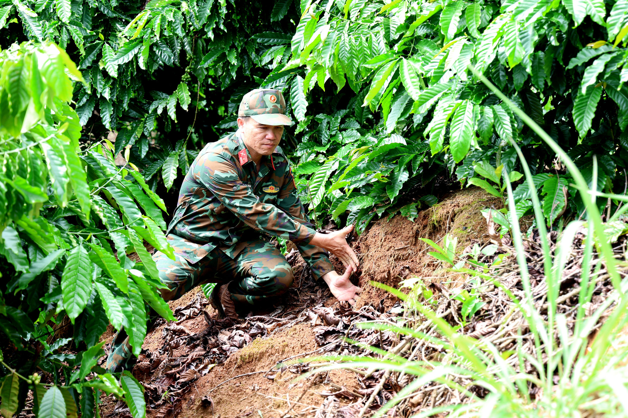 Kiem tra sut lun Quang Son 11