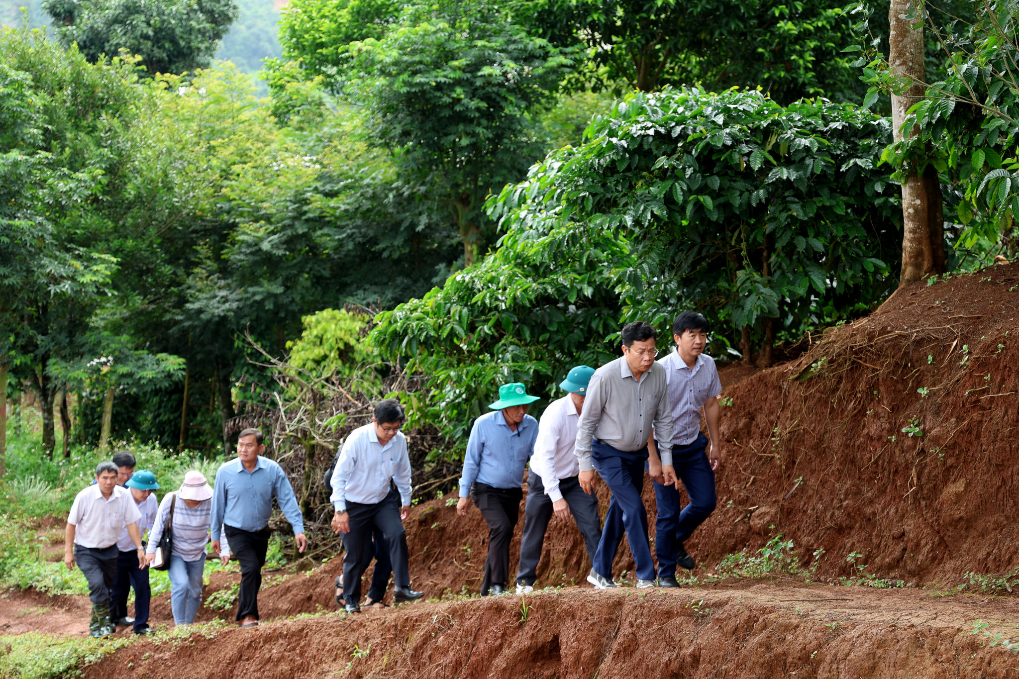 Kiem tra sut lun Quang Son 8
