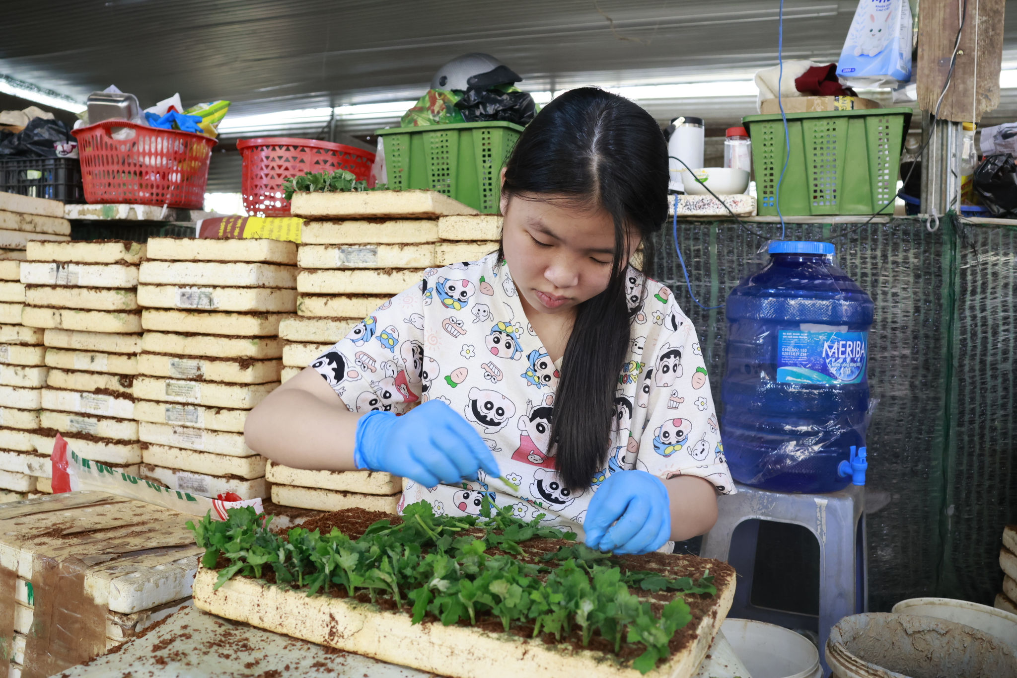 3. Lan Hương làm cây giống tại vườn ươm sau giờ học.