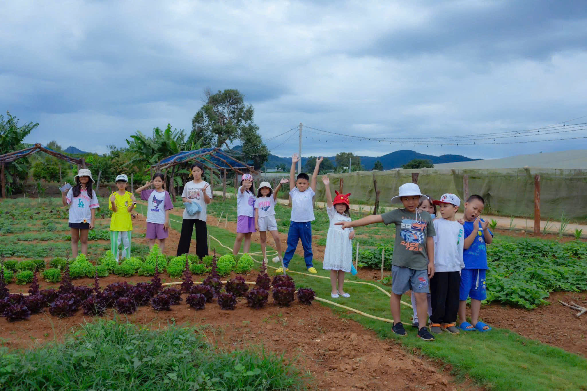 Điểm du lịch cộng đồng Avacodo Farm thôn Quảng Lợi, xã Quảng Lập