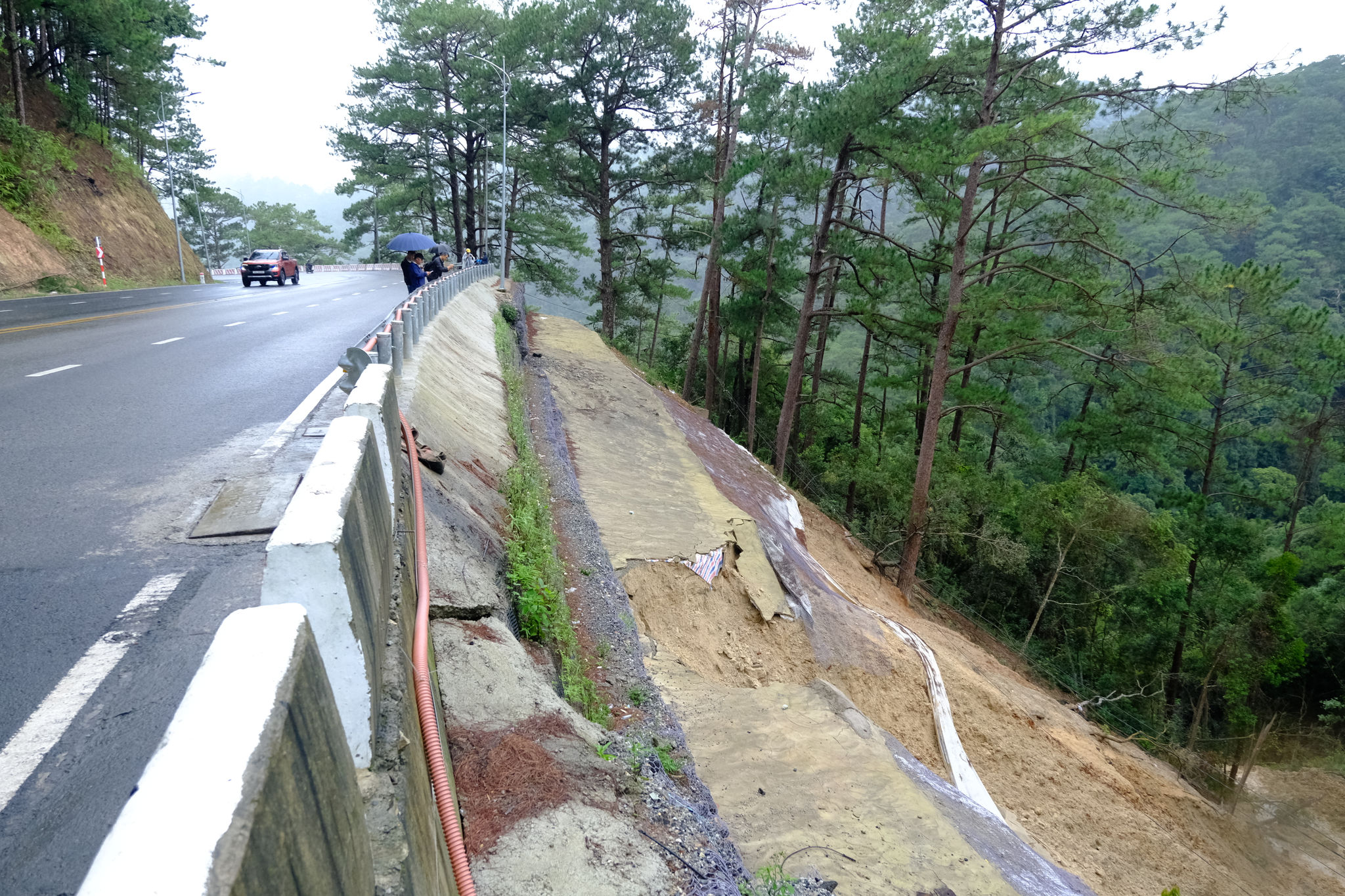 dscf0868.jpg