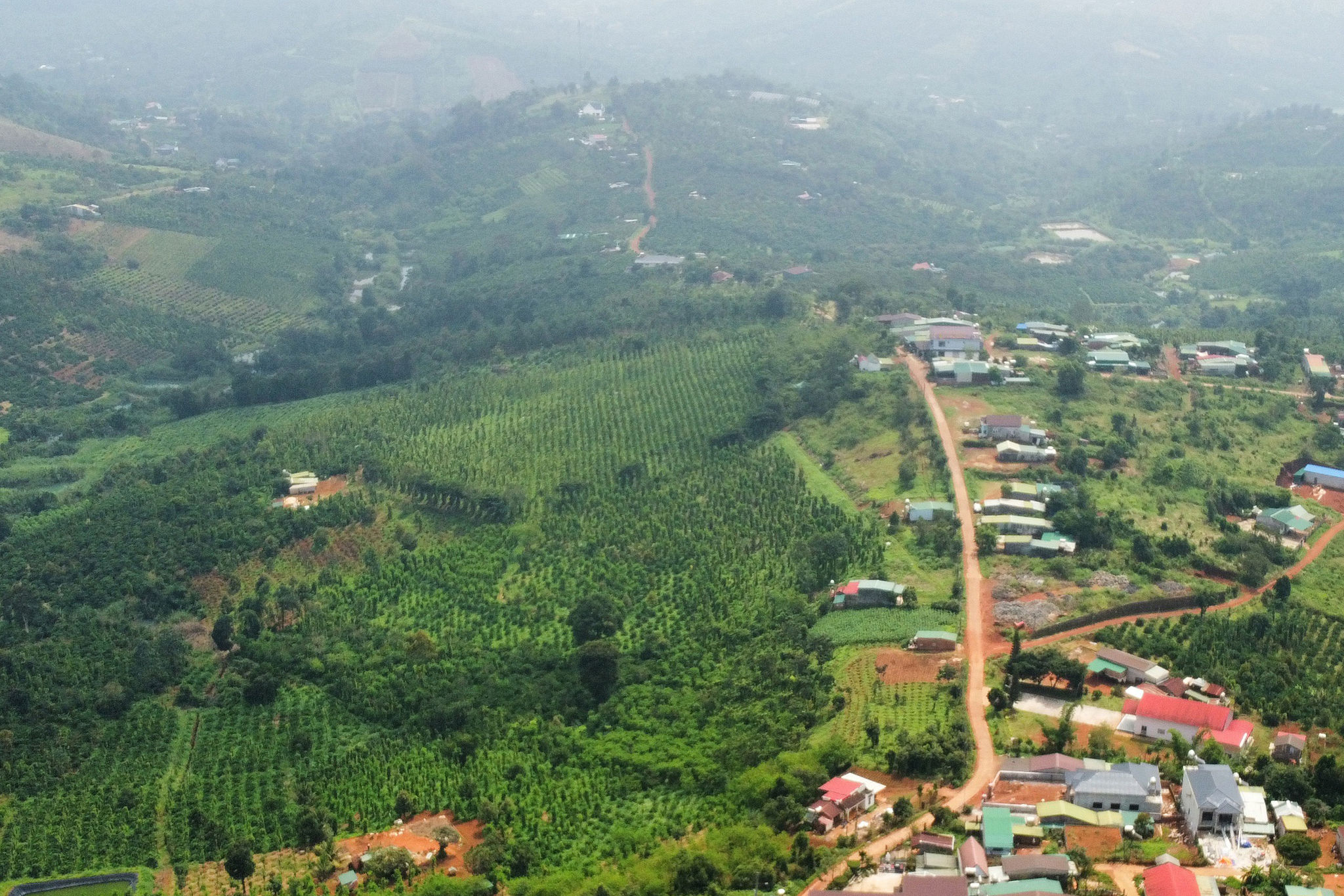 dji_fly_20260916_095904_711_1789633534992_photo_optimized.jpg