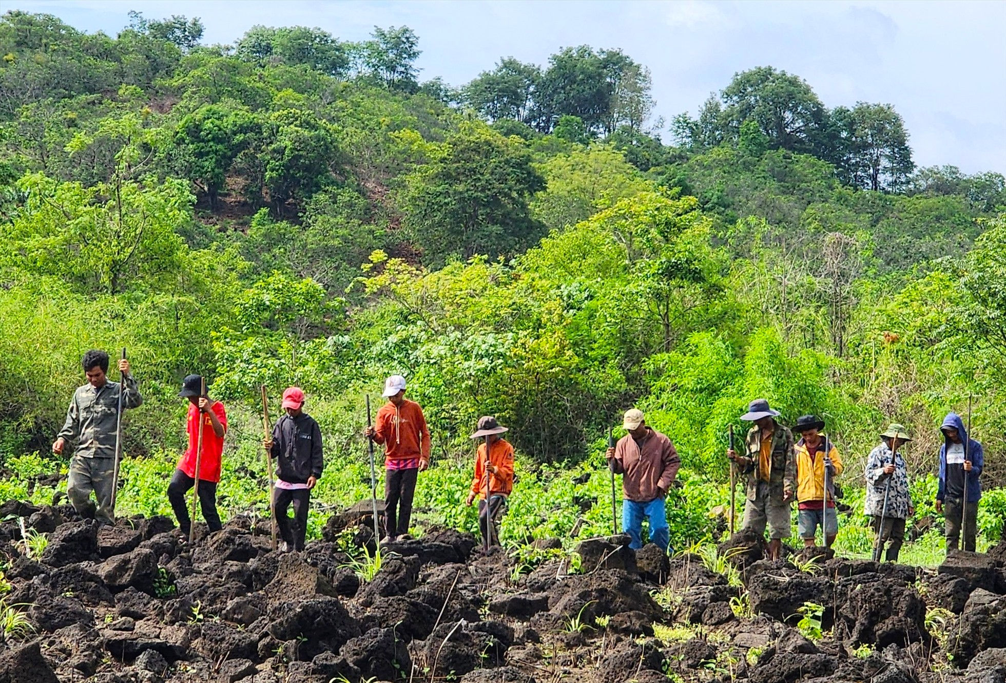 Đầu tháng 6, những cơn mưa đầu mùa xuất hiện, người dân ở Nam Đà sẽ cùng nhau xuống giống, bắt đầu cho mùa bắp mới