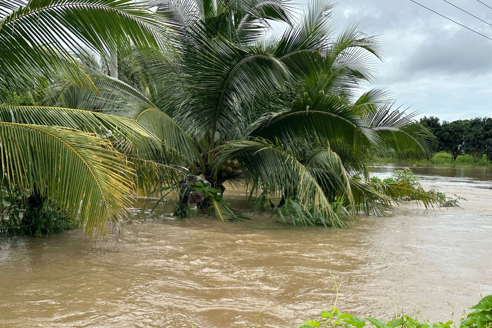 6(4).jpg