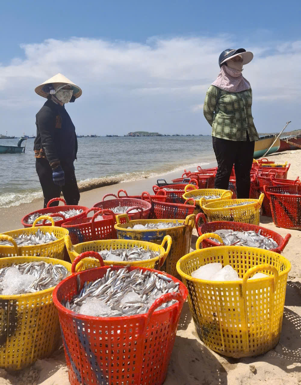 Cá phế phẩm giá trị thấp ven biển Phan Thiết được tận dụng triệt để, mở đầu cho chu trình kinh tế tuần hoàn. (2)