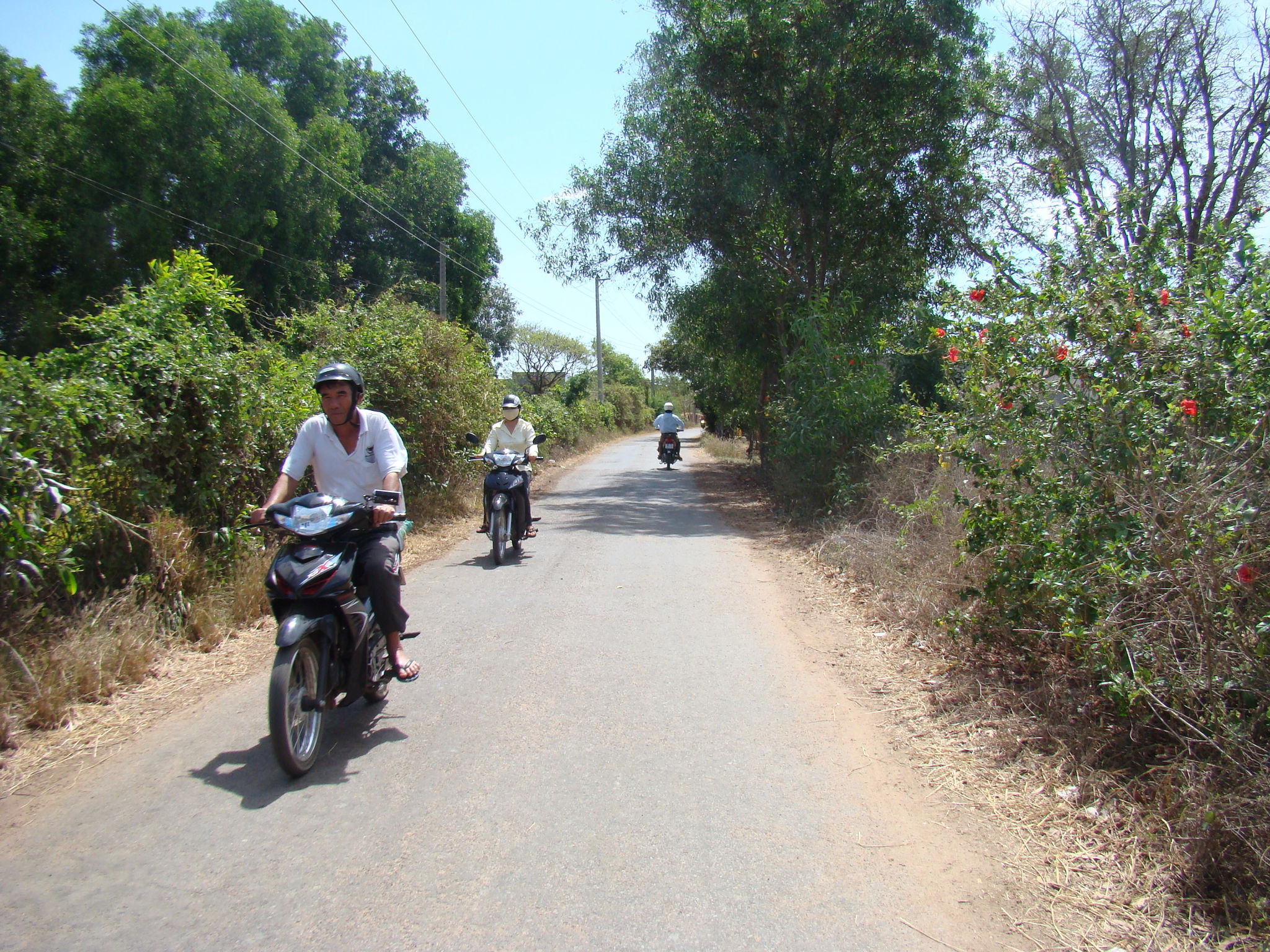 dsc04395.jpg