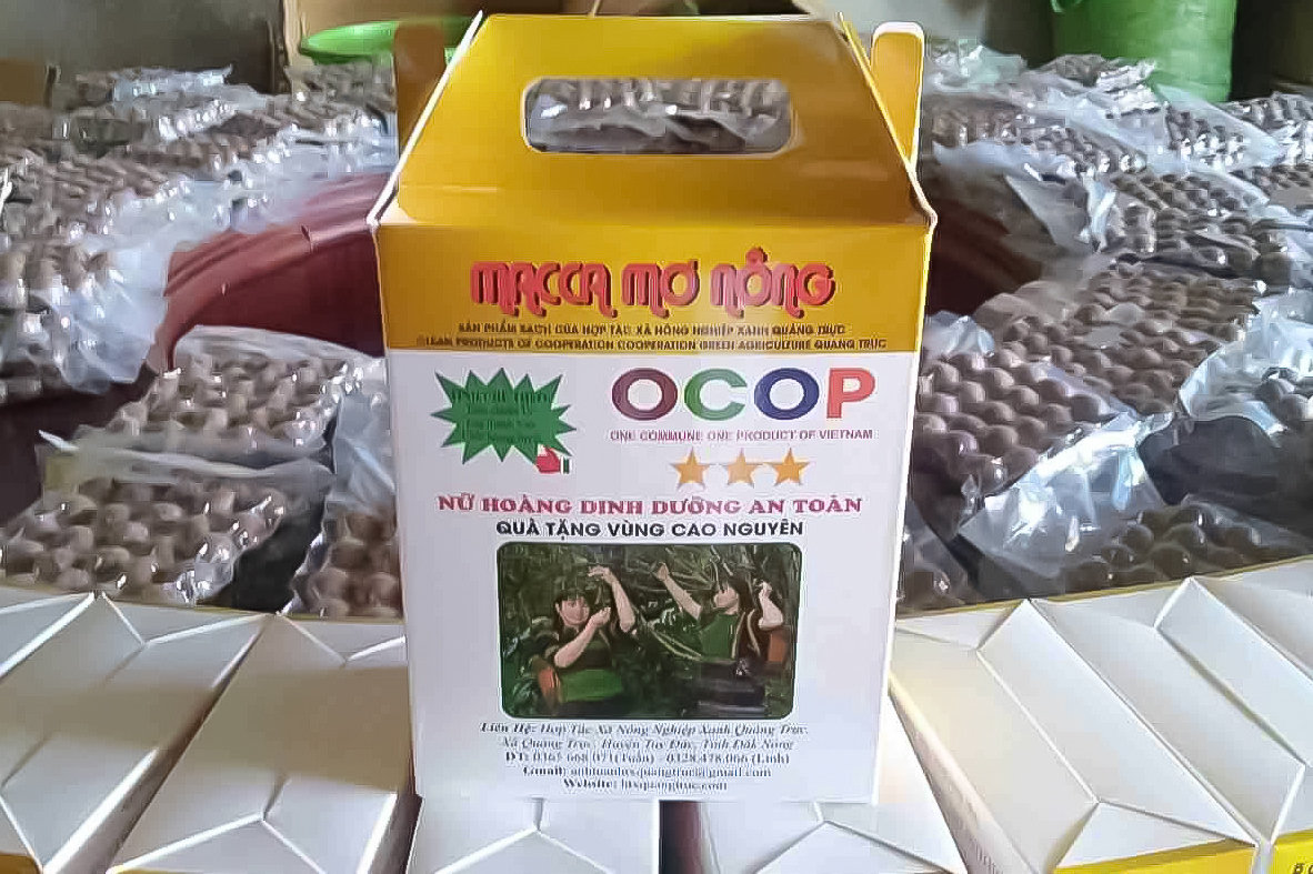 sp-mac-ca-q-truc.jpg