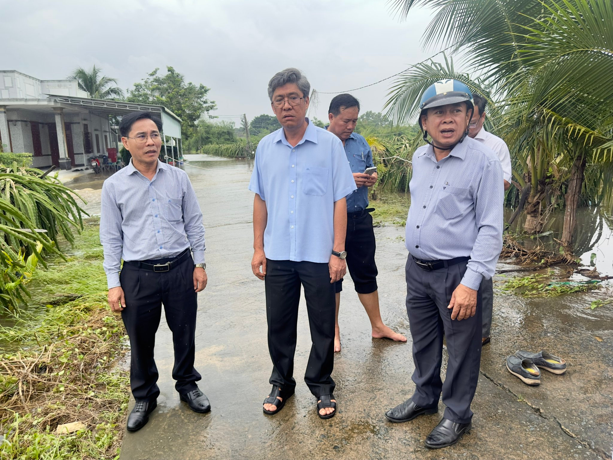 Cùng lãnh đạo tuyên quang