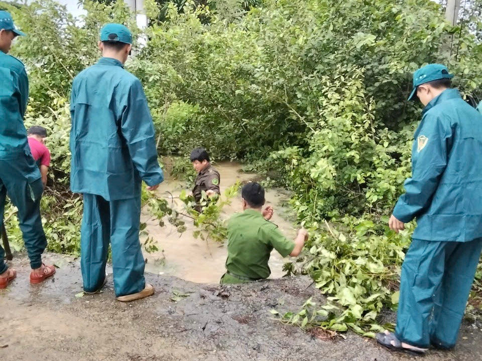 khơi thông dòng chảy hồng sơn