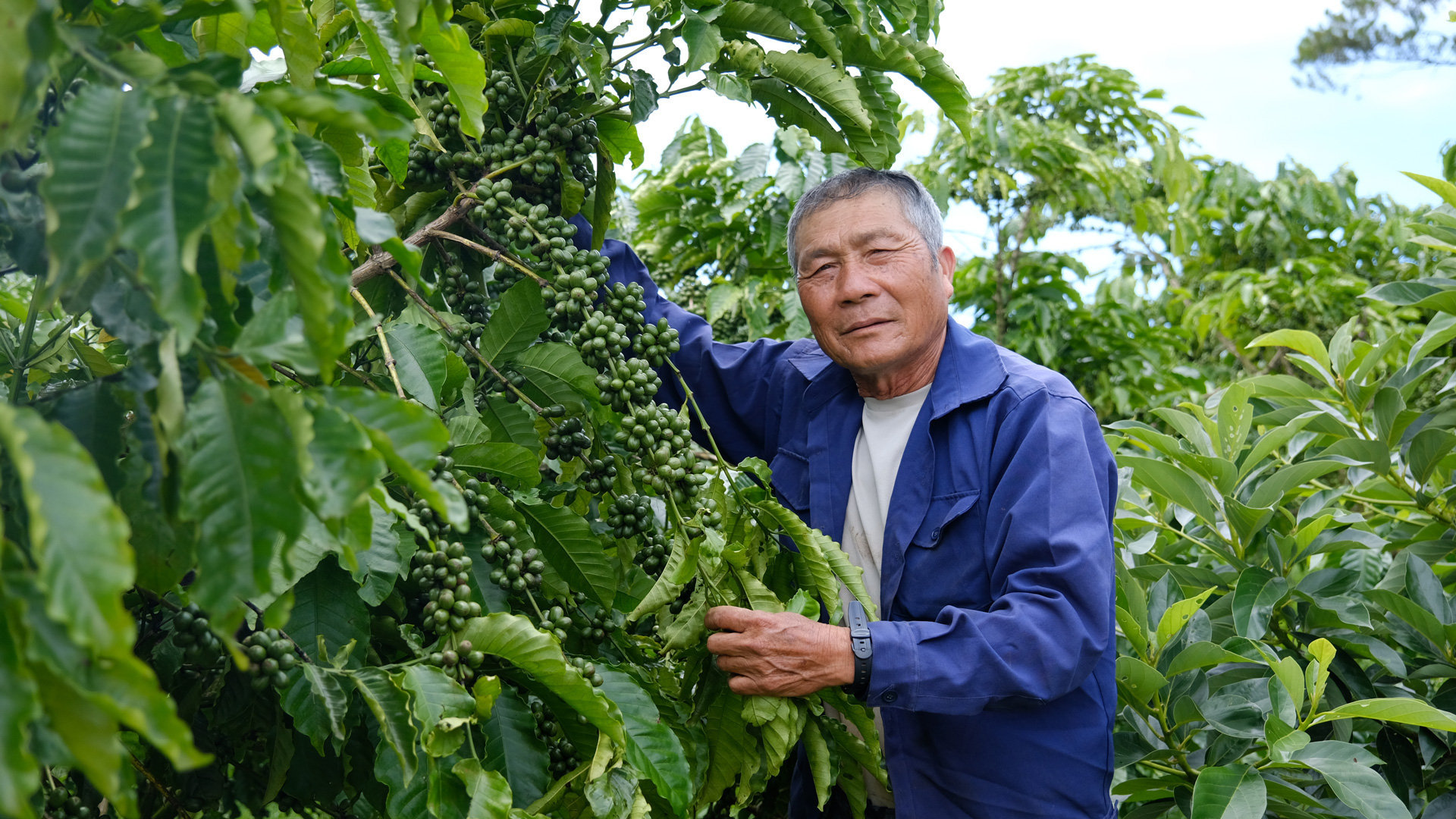 Làm tốt công tác xây dựng Đảng là nền tảng phát triển kinh tế - xã hội ở huyện Bảo Lâm