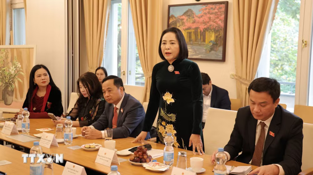 Phó Chủ tịch Quốc hội Nguyễn Thị Thanh phát biểu khi tới thăm Đại sứ quán Việt Nam tại Đức. (Ảnh: Thu Hằng/TTXVN) ttxvn_pho-chu-tich-quoc-hoi-nguyen-thi-thanh-tham-lam-viec-tai-cong-hoa-lien-bang-duc-2.jpg