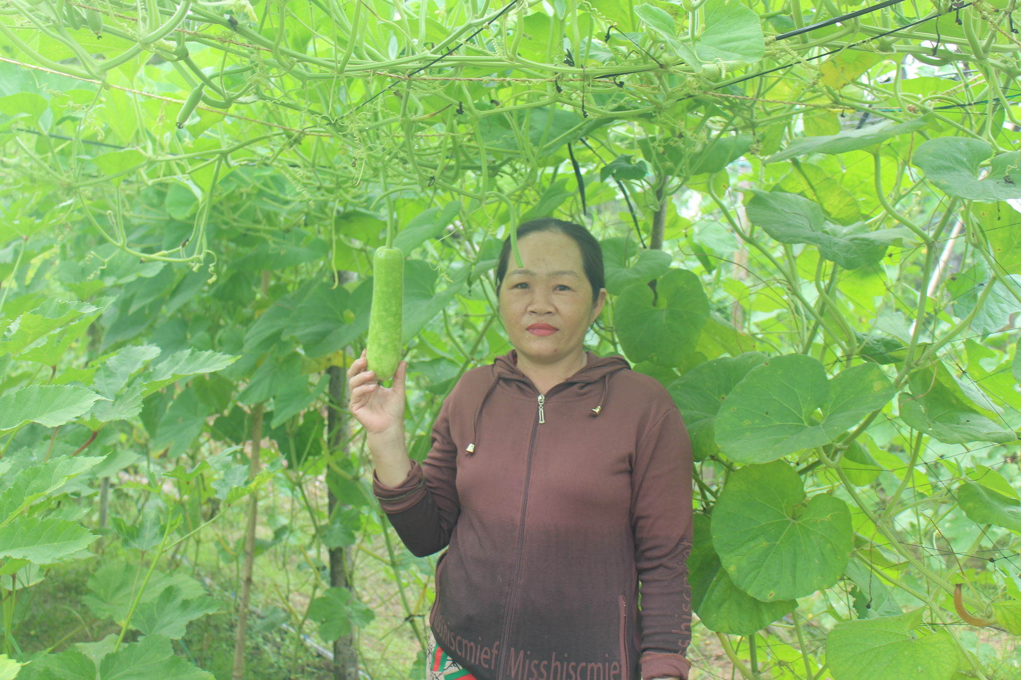 chị Vương Thị Bích Ngọc bên vườn lagim gia đình