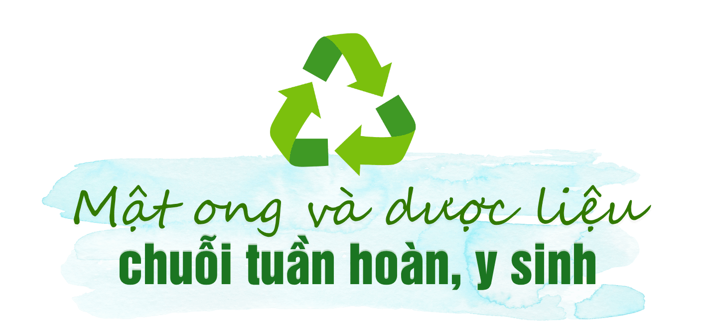 Bản sao của A D_Mẫu tít phụ có ảnh (31)