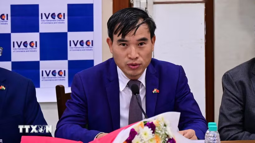 Tham tán Thương mại, Trưởng Thương vụ Việt Nam tại Ấn Độ Bùi Trung Thướng đề xuất nhiều giải pháp. (Ảnh: Vũ Hà/TTXVN)
