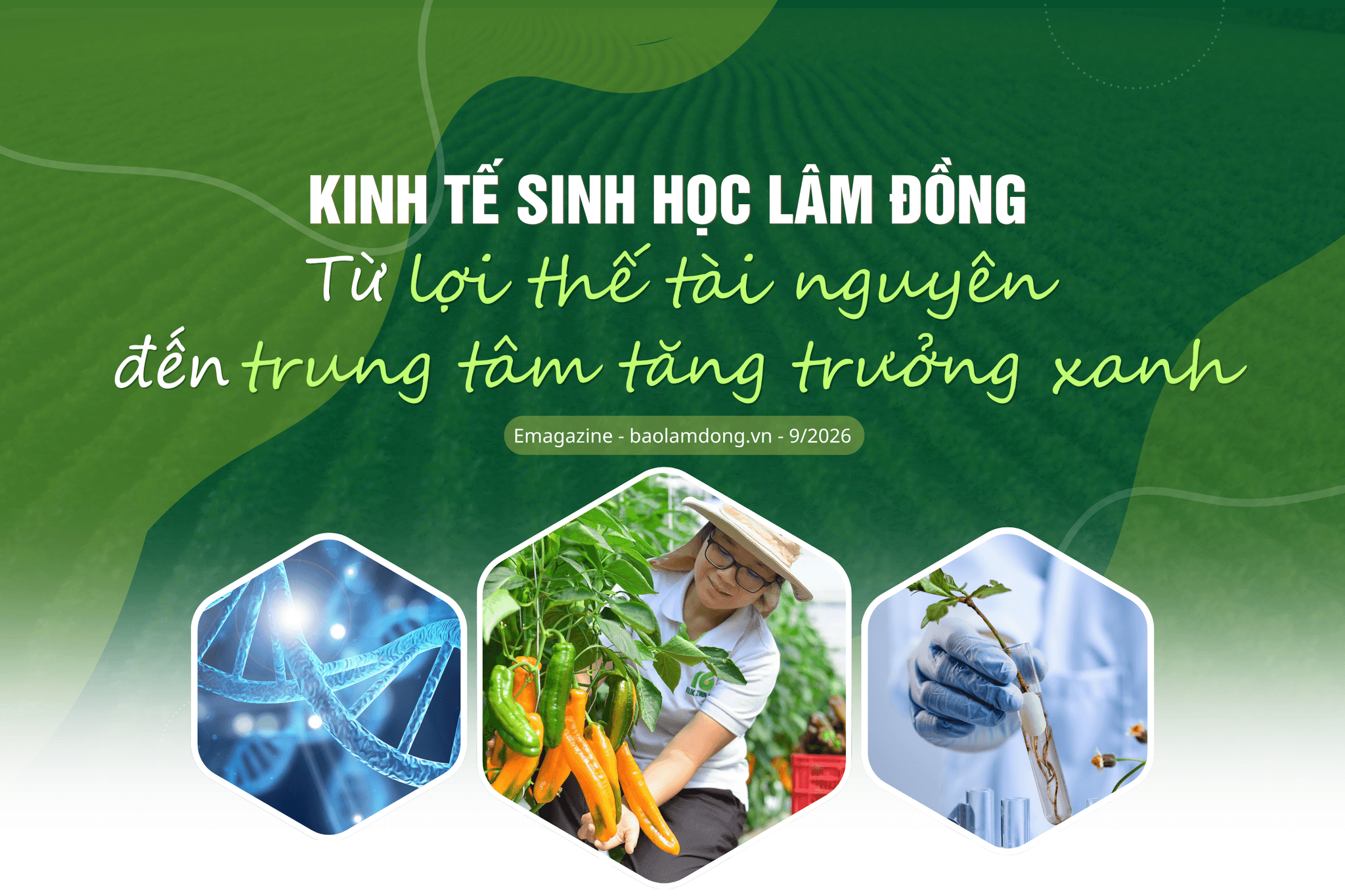 lợi thế tài nguyên trung tâm tăng trưởng xanh (2)