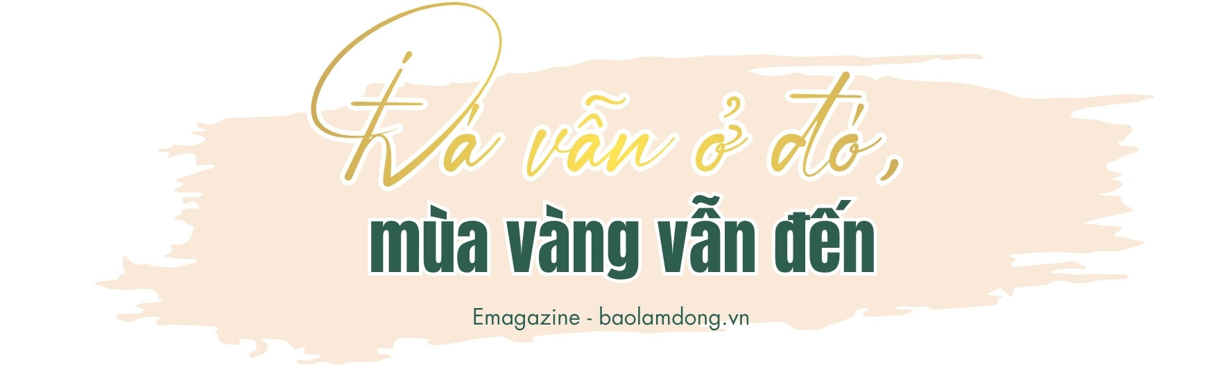 TÍT PHỤ 3 1181 x 280 px)
