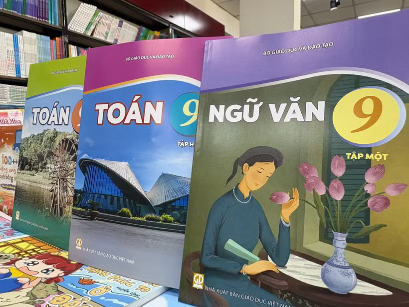 (Ảnh: PV/Vietnam+)