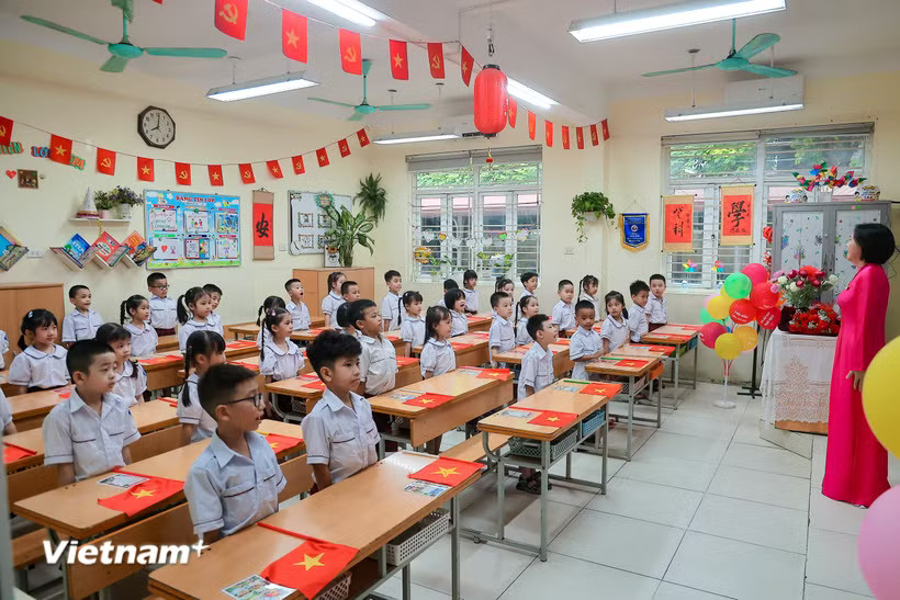 Ảnh minh họa. (Ảnh: Hoài Nam/Vietnam+)