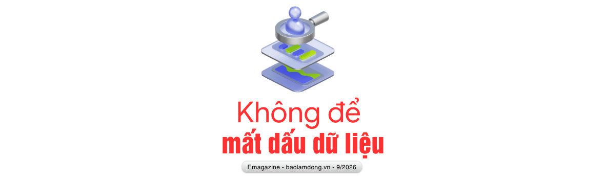 c11.png