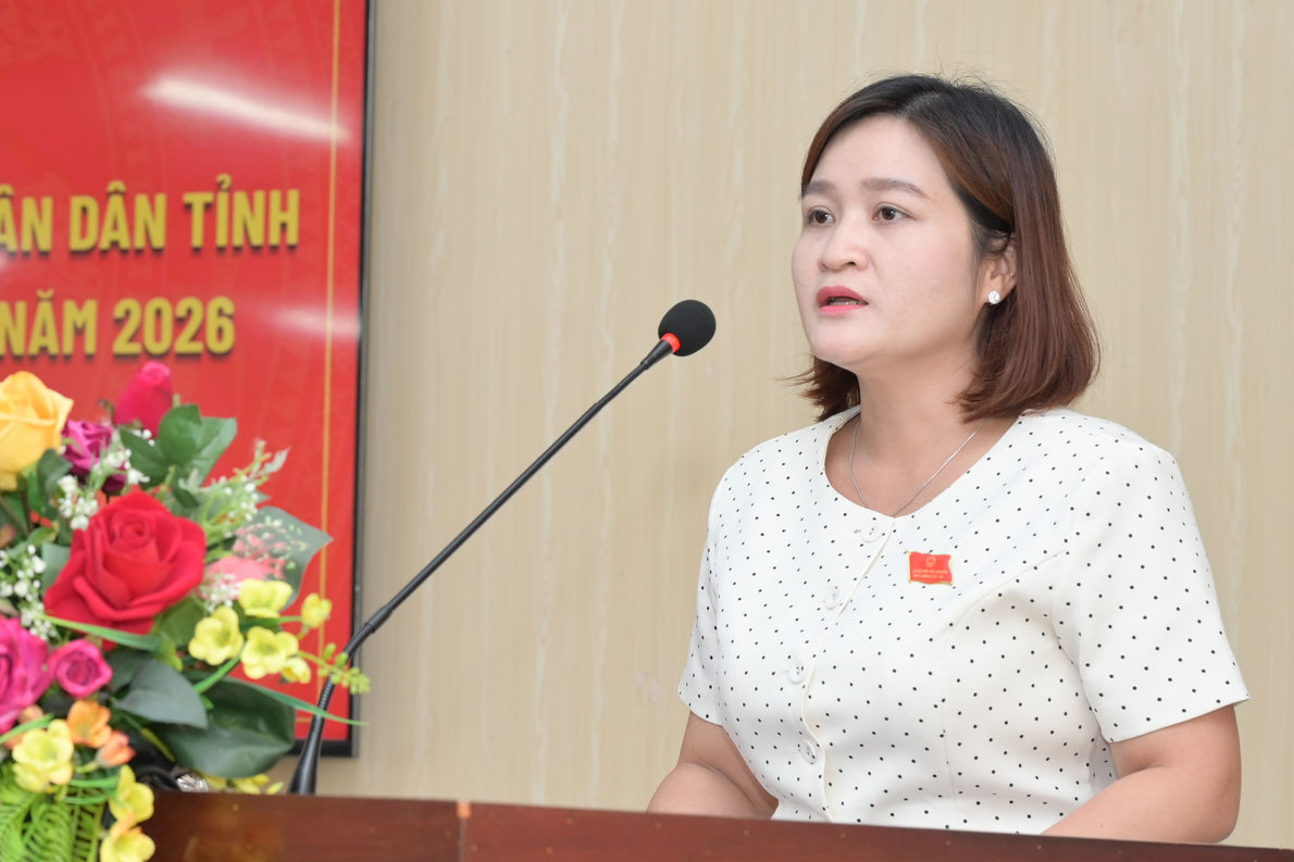 dai-dien-to-dai-bieu-so-7-ba-ngo-thi-thanh-phuong-bao-cao-tai-buoi-tiep-xuc(1).jpg