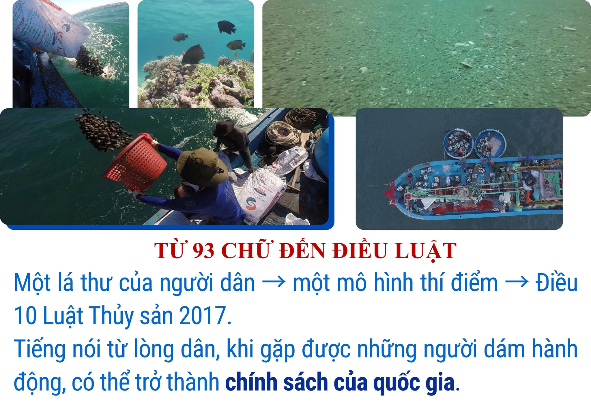 MẪU GHÉP NHIỀU ẢNH