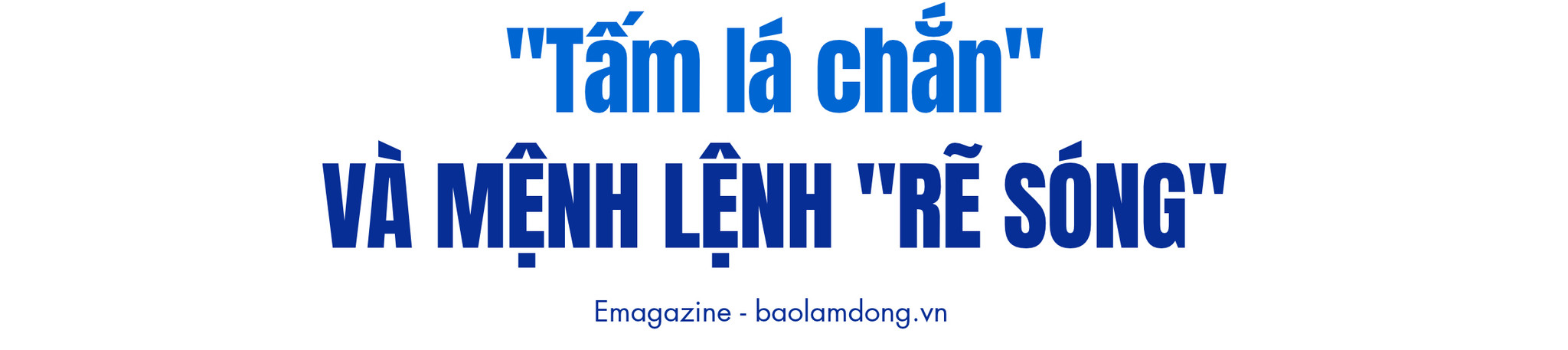 TÍT PHỤ MB 2