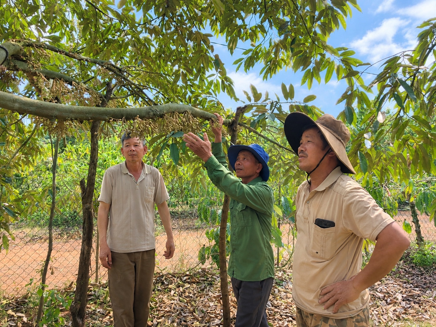 Ông Nguyễn Huy Đông và các thành viên tại thôn Liên Hồ trao đổi về kỹ thuật canh tác
