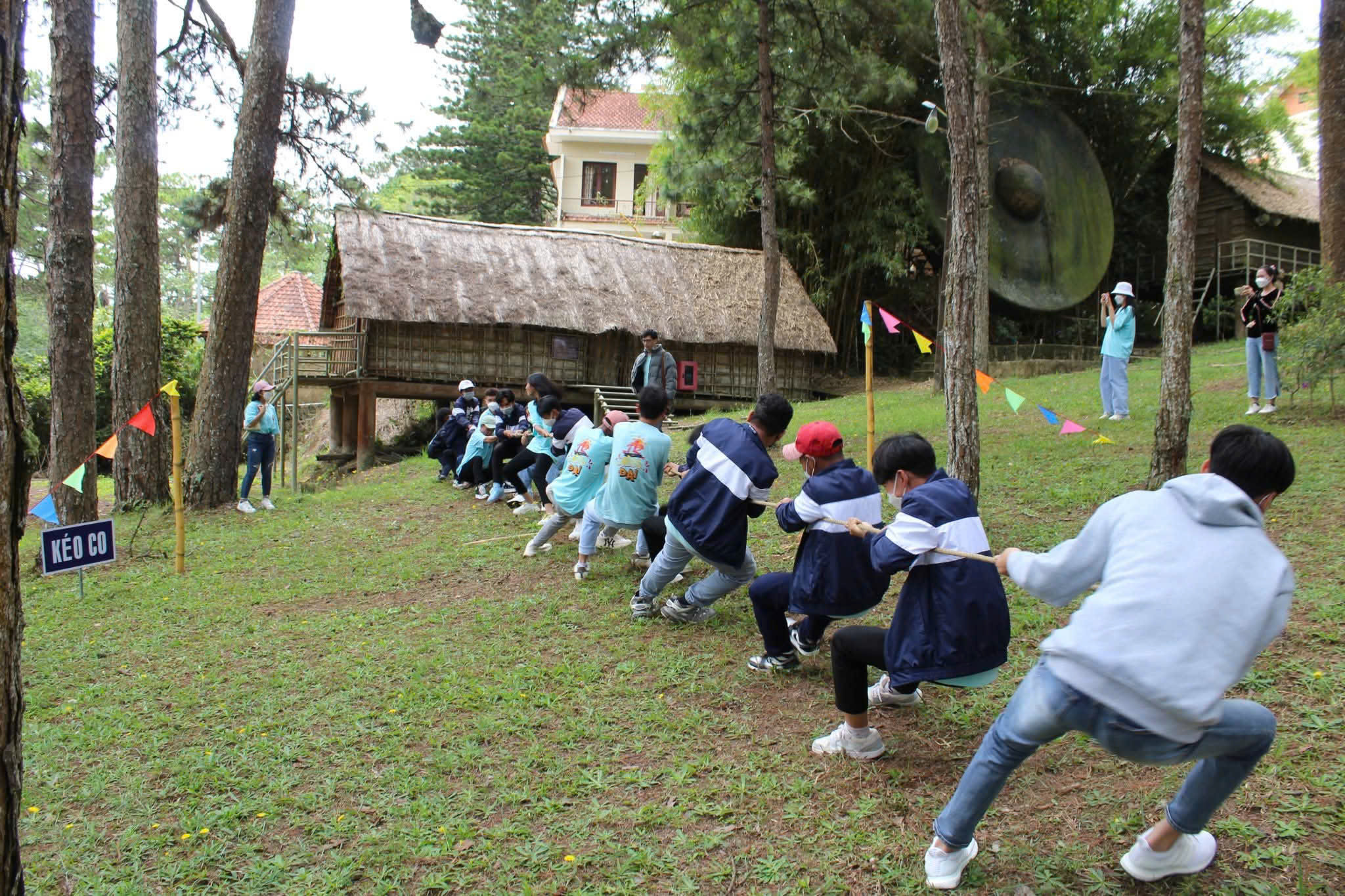 tc9.jpg