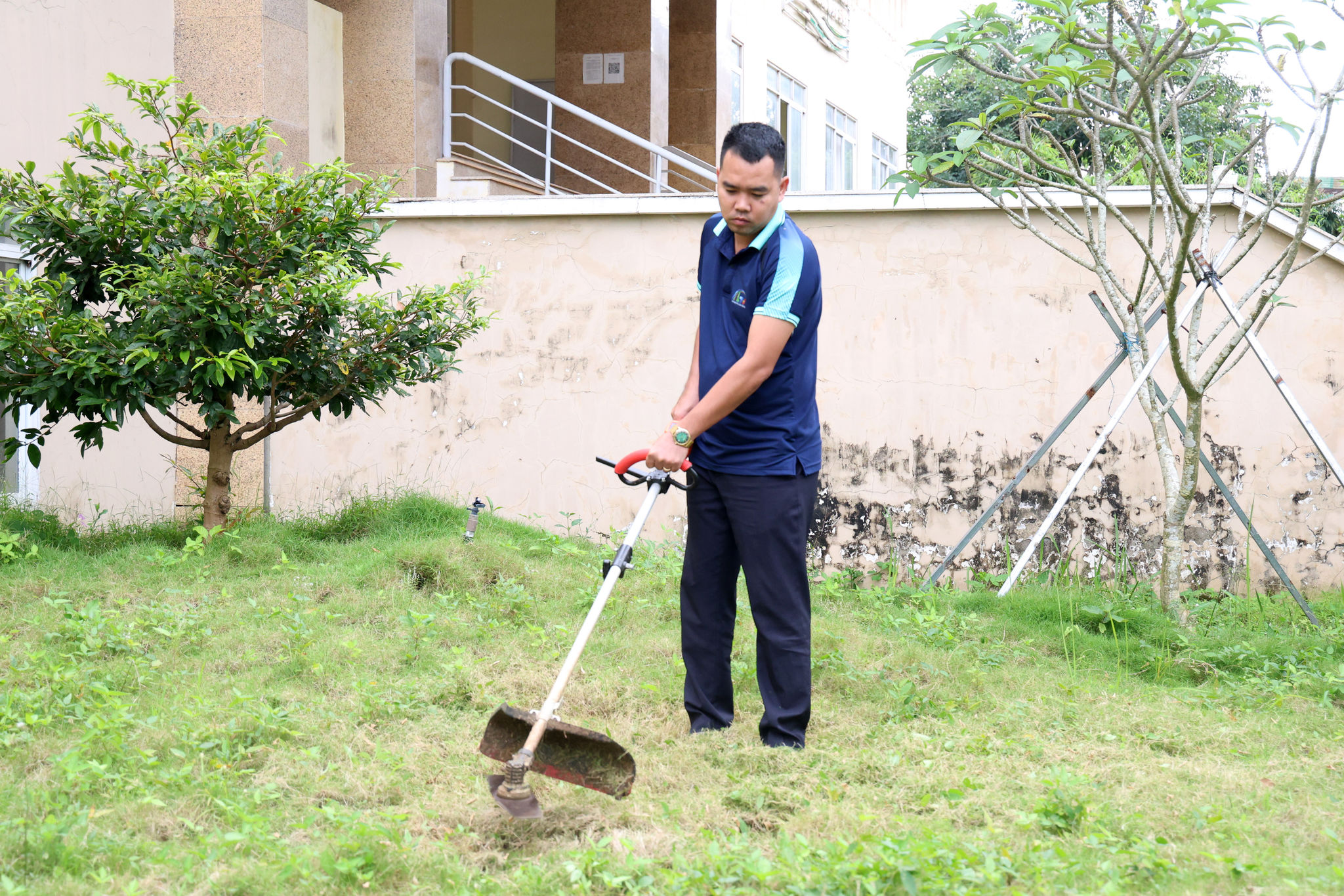 Khu vực tiểu cảnh trước trụ sở làm việc được cắt tỉa, dọn dẹp cỏ dại