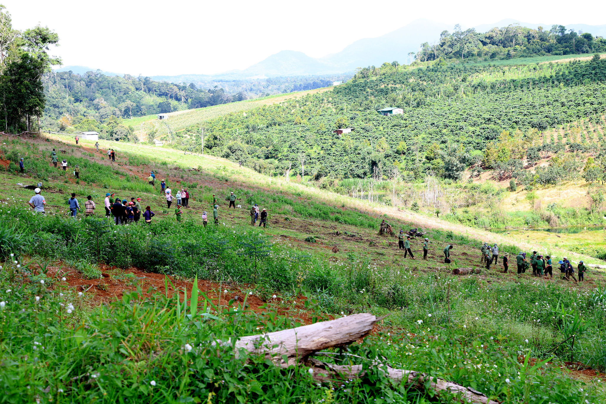 cuong-che-quang-son3.jpg
