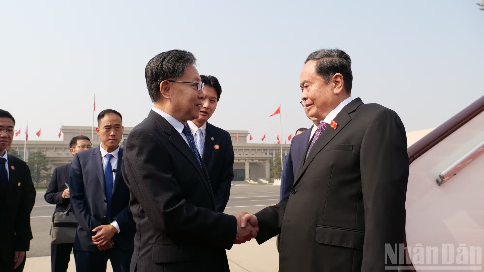 ndo_br_p2724805.jpg