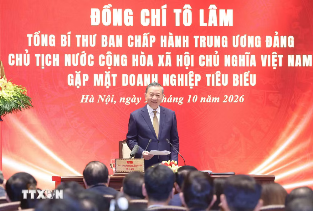 ttxvn_tong-bi-thu-chu-tich-nuoc-to-lam-gap-mat-doanh-nghiep-tieu-bieu-9082854-7.jpg