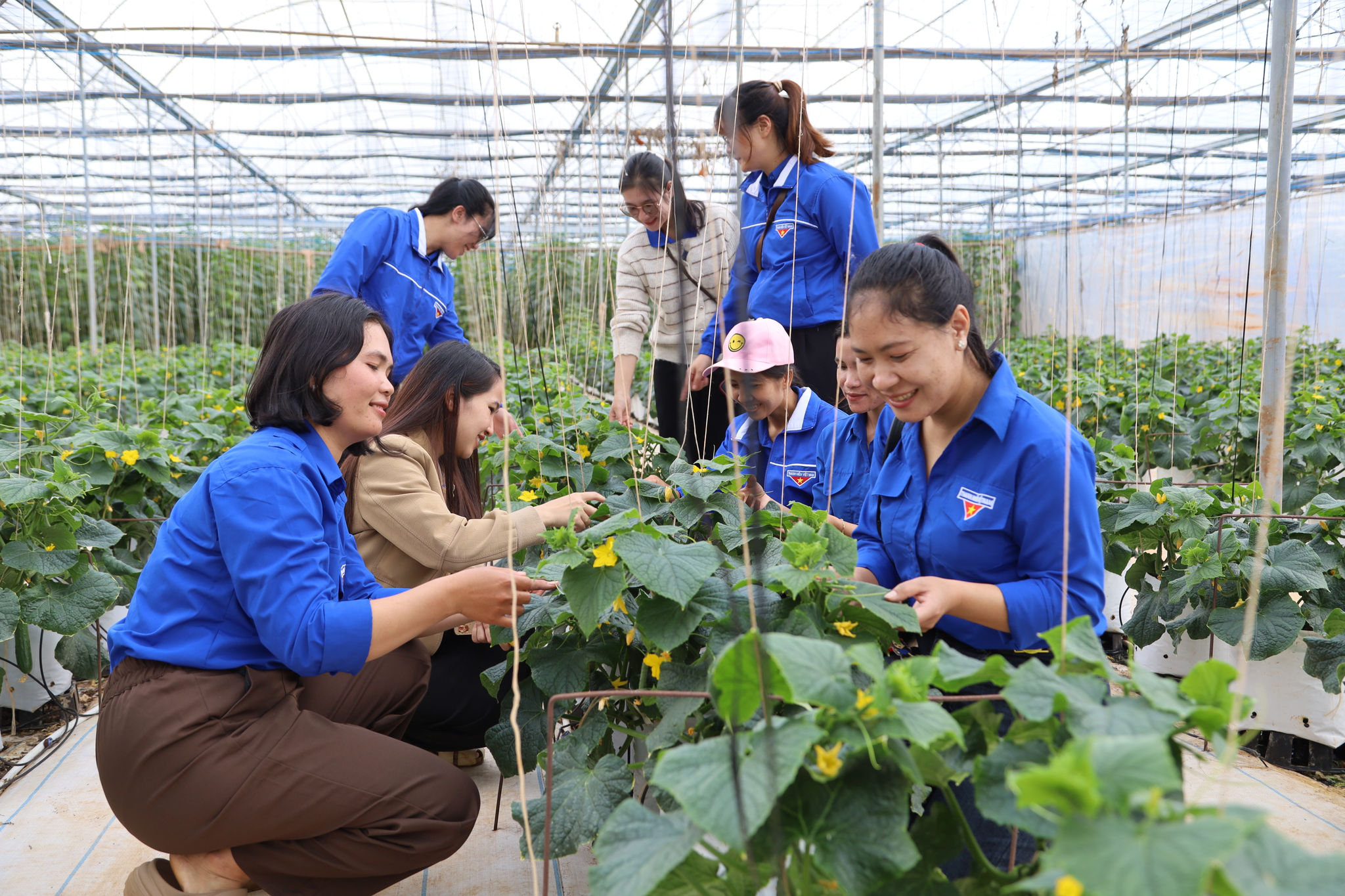 Giai đoạn 2022 - 2025, có 142 dự án khởi nghiệp đổi mới sáng tạo của thanh niên Lâm Đồng được hỗ trợ