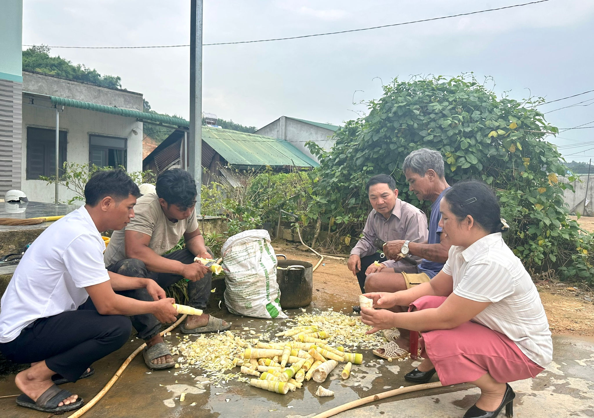 Các địa phương trên địa bàn tỉnh quan tâm hỗ trợ phát triển sản xuất, hỗ trợ sinh kế cho hộ nghèo, cận nghèo, đồng bào dân tộc thiểu số