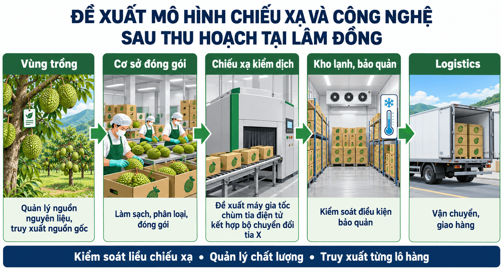 de xuat chieu xa