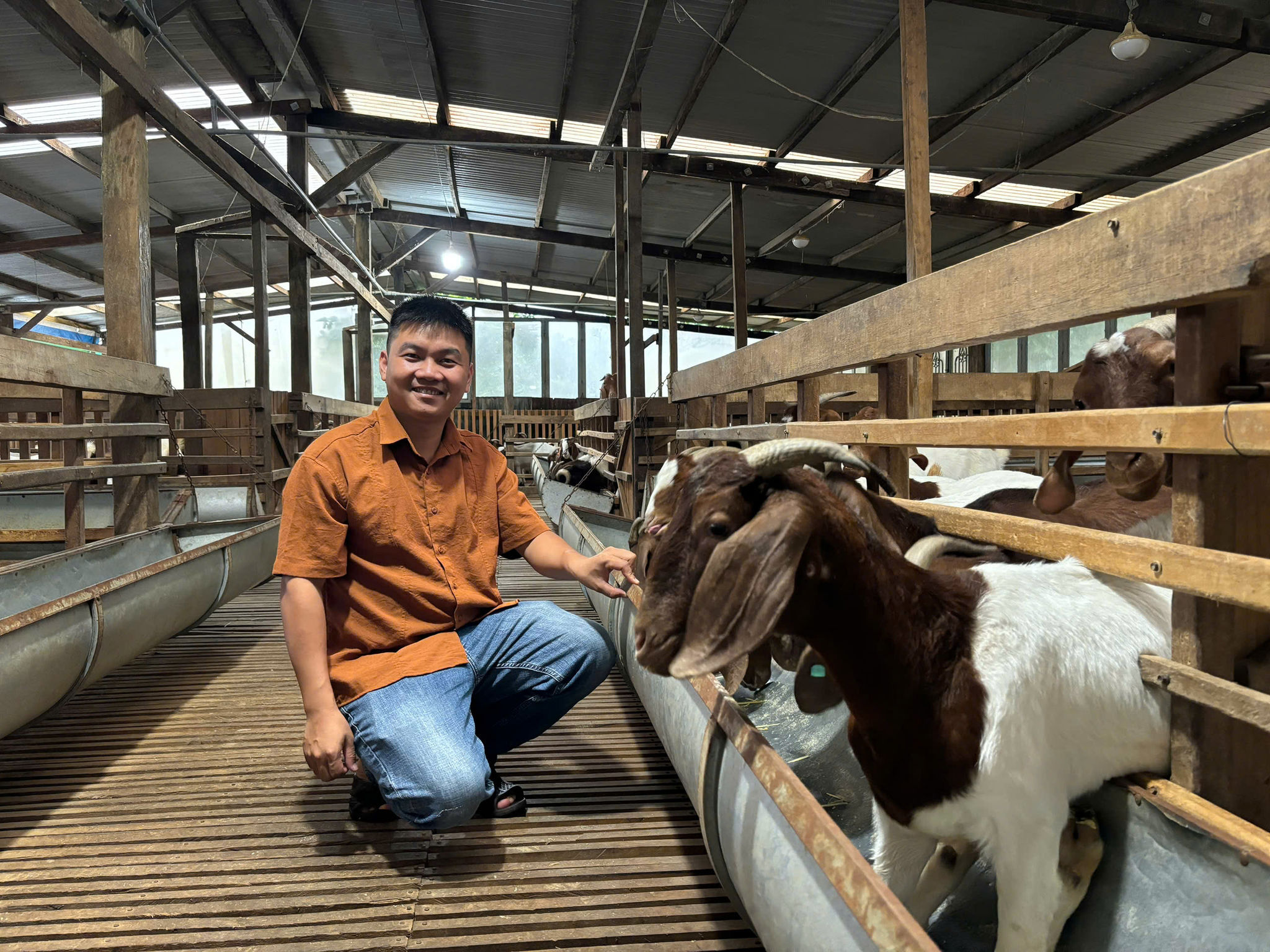 Vũ Quang Chính bên trại dê Boer