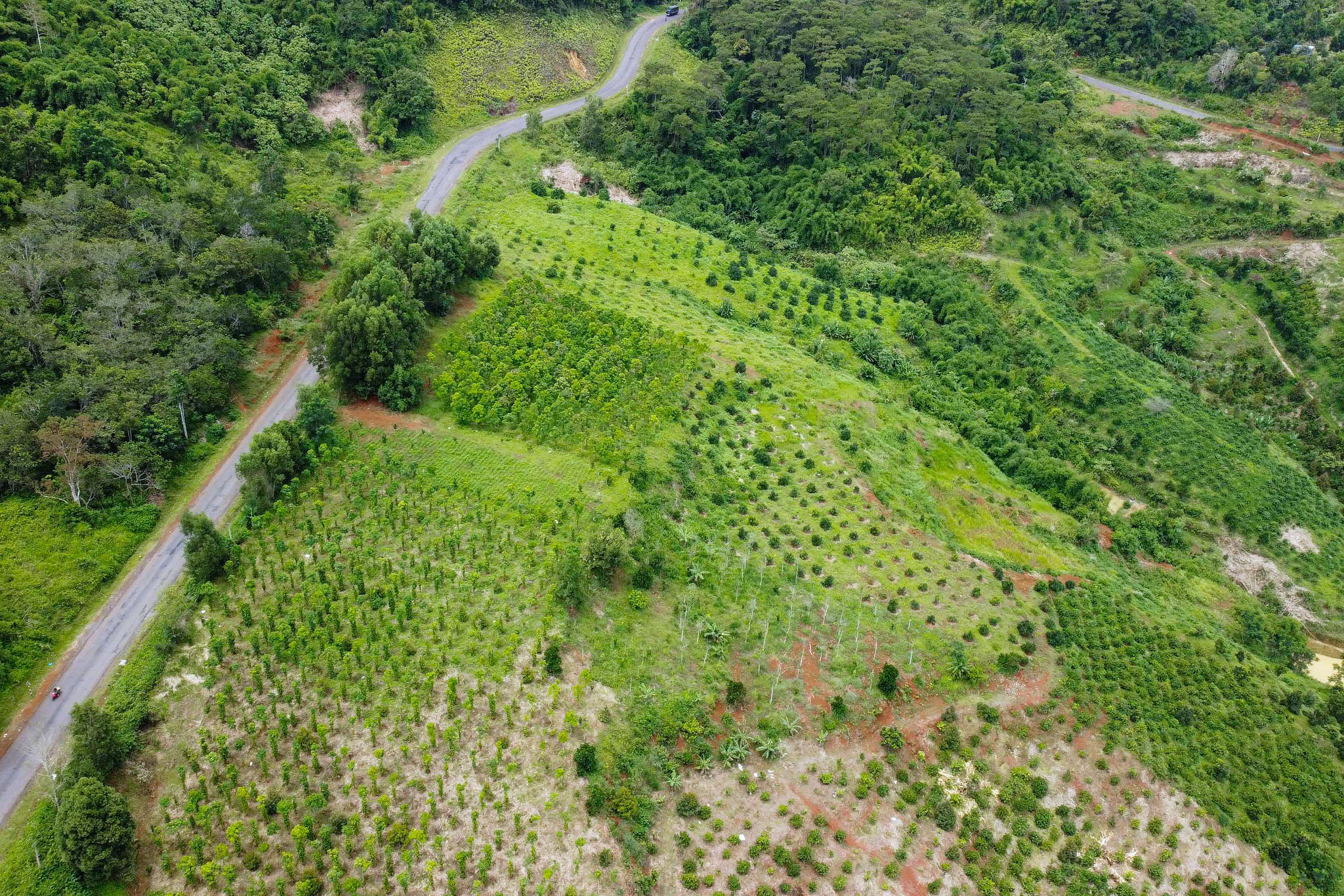 dji_0345.jpg
