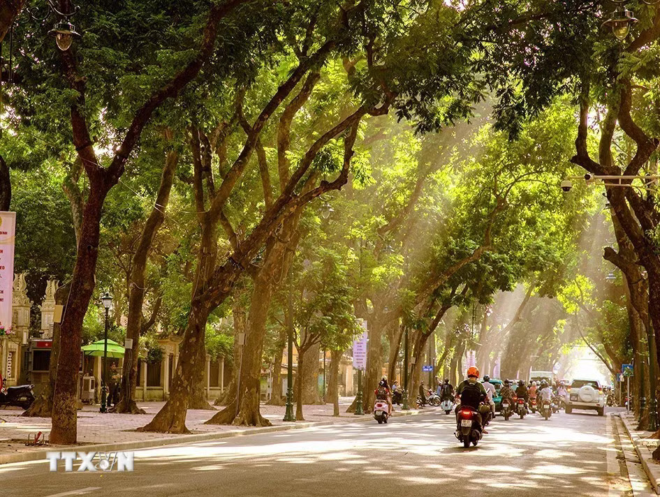 ttxvn-mua-thu-ha-noi-2.jpg