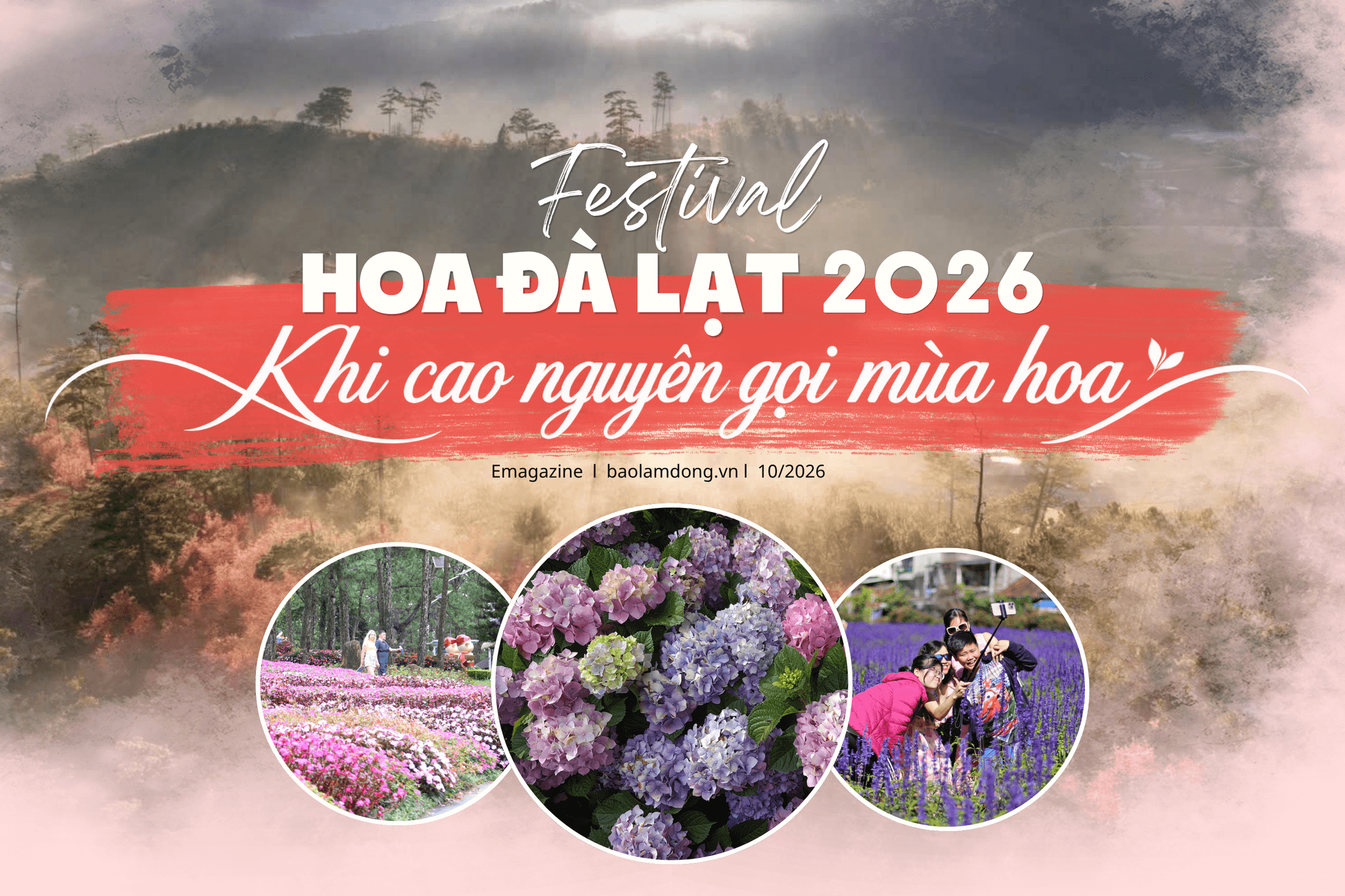 Festival (5)