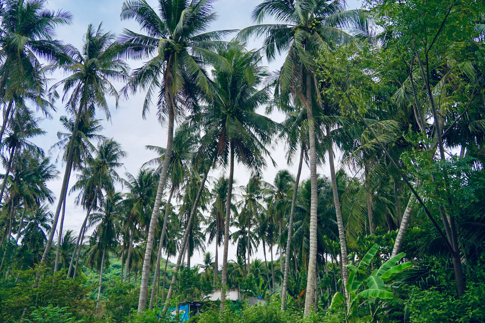 dsc08823.jpeg
