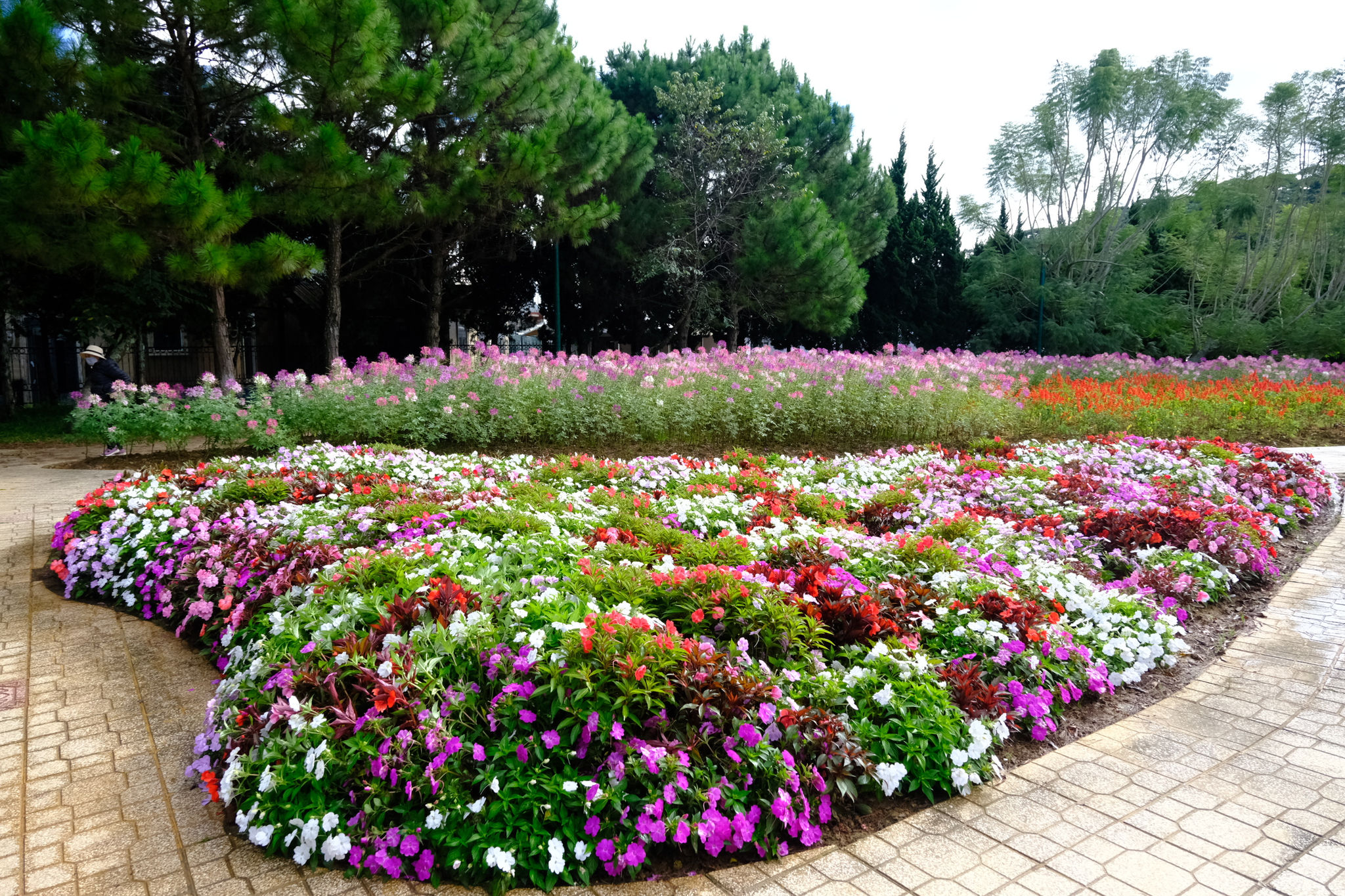 dscf5393.jpg