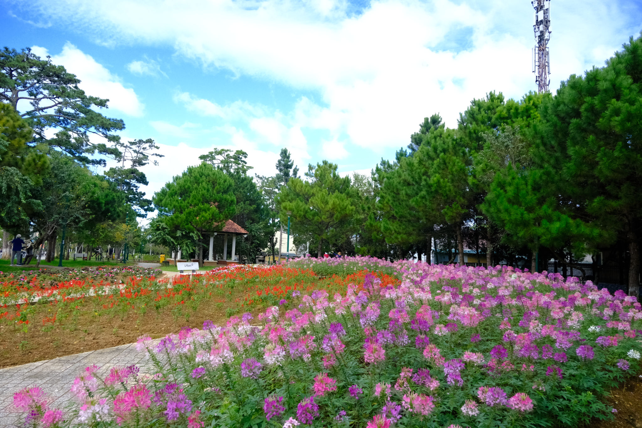 dscf5423.jpg
